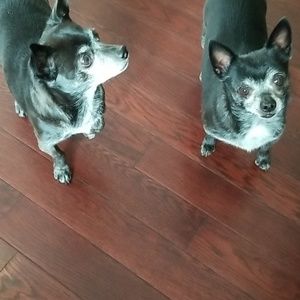 Meet your Posher, Anna